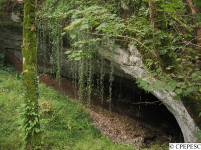 Grotte de la Baume Noire