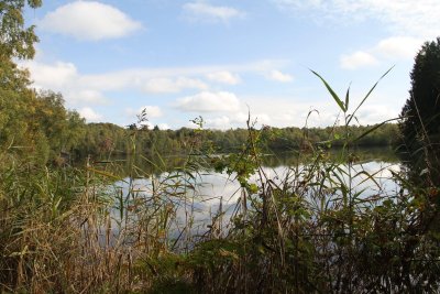 Étang de la Grande Chaussée