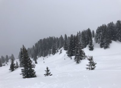 Belvédère du Bois du Croz