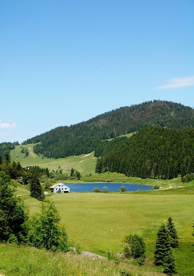 Tourbière de la combe du lac à Lamoura