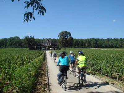 Active Tours - location vélo