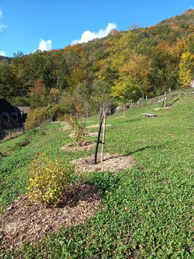 Verger communal de sauvegarde de Nans-sous-Sainte-Anne