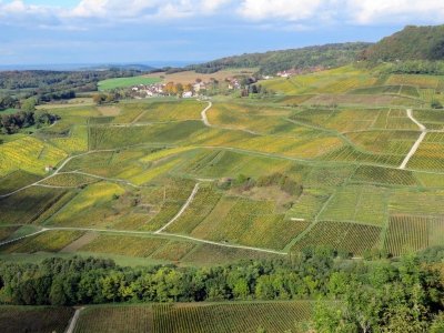 Belvédère des Roches