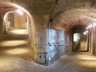 Visite guidée commentée et dégustation de la figue de Bourg