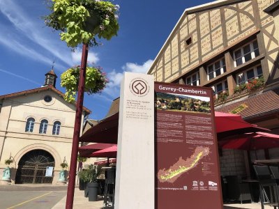 Gevrey Bad Trip - City Game à Gevrey-Chambertin