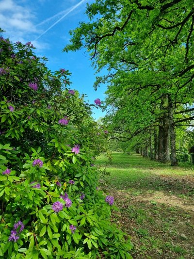 Parc du château du Verdier