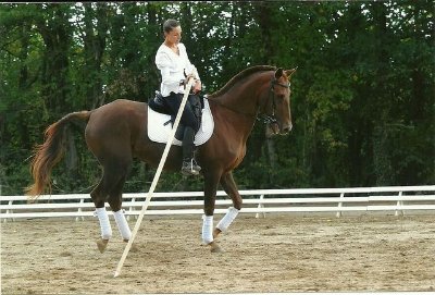 Ecole d'équitation Laureen Dubarry