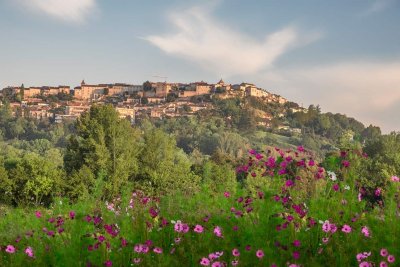 Randonnée pédestre