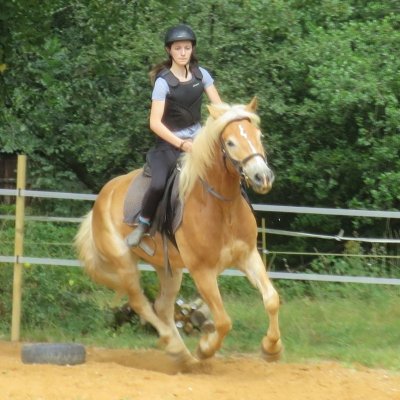 Poney-club - Domaine équestre des Bastides