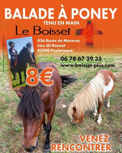 Centre équestre - Le Boisset Plus