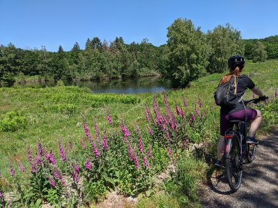 Location de VAE à l'Office de tourisme des 1000 étangs