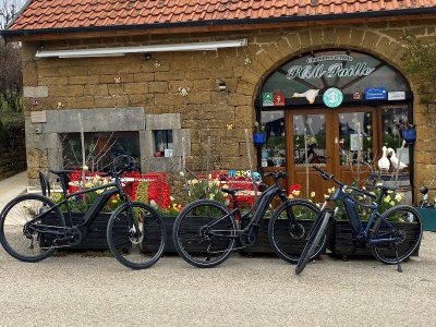 Location Vélo Electrique