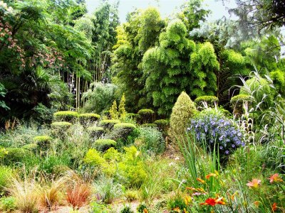 Jardin les Bambous de Planbuisson