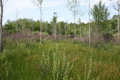 Nécropole Nationale "La Maison Bleue"