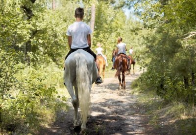 Equitation par Annabelle Fréby