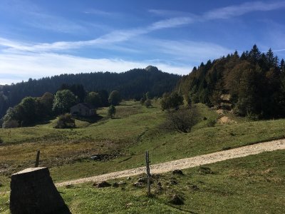 La Borne au Lion, Crêt de Chalam