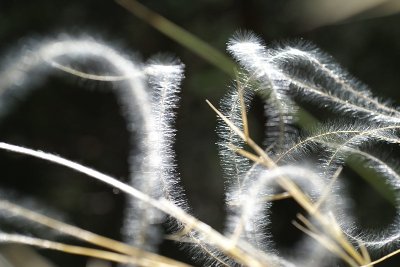 Balade à pied sur les traces des marabouts