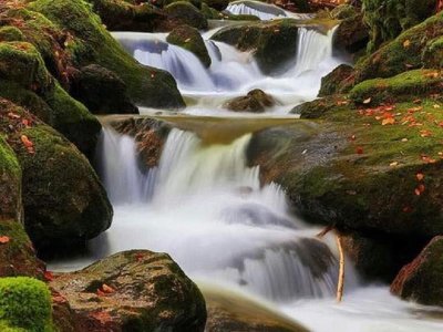 Médiathèque la Boussole