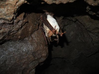 Itinéraire VTT n° 14 - La vierge du Thillot - départ : musée des Hautes Mynes