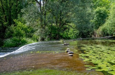 BOUCLE CIRCUIT DE LA SEVRE