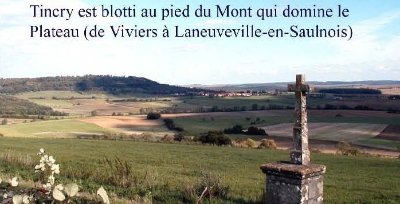 Oppidum protohistorique de Tincry