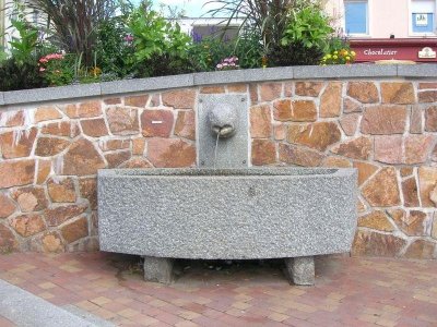 Découverte de la pisciculture artificielle