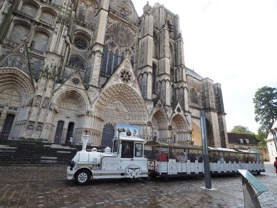 Visite de la ville en Petit train touristique