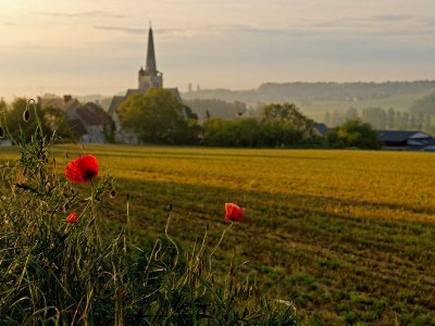 Crissay-sur-Manse, Avon-les-Roches, Tranchelion