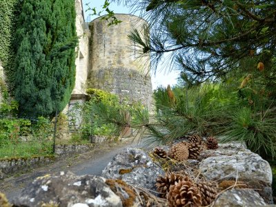 Visite de la cité médiévale de Mennetou