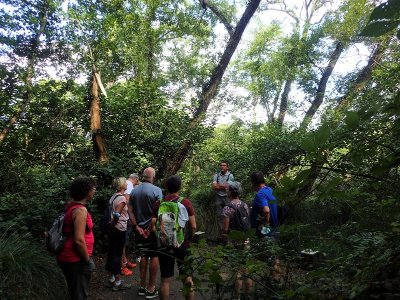 Départ du sentier pédestre du Courant d'Huchet à Pichelèbe