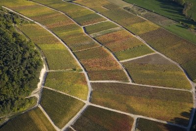 Aéroclub de la Côte des Bars