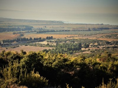 Le vignoble de l'Etang, un vignoble des contrastes