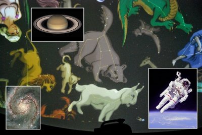 Muséum d'Histoire Naturelle