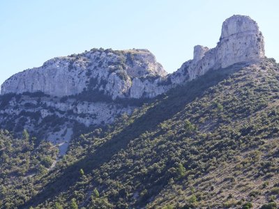 Le vignoble de la Sainte-Baume, un terroir sacré