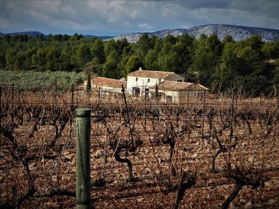 Le vignoble aixois, le vignoble des bastides - Un week-end à la montagne de la Vautubière