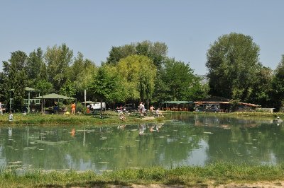 Etang de pêche à la truite