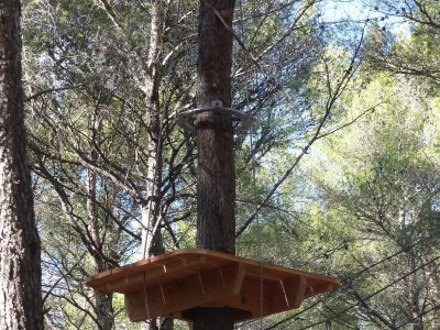 Le Royaume des Arbres - Parcours aventures