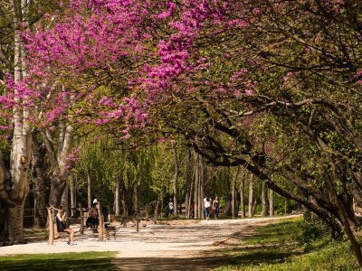 Parcours Permanent de course d'Orientation : la Torse, Stade Carcassonne