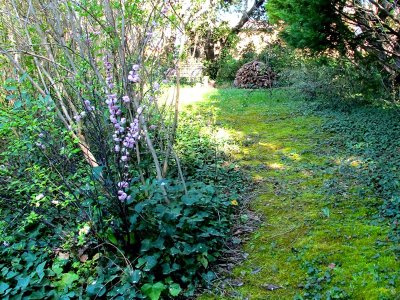 Atelier Succa - Jardin d'artiste