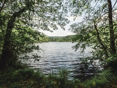 Étang de l'Erbsenthal - Réserve naturelle