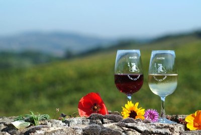 Mâcon, Cité de Lamartine