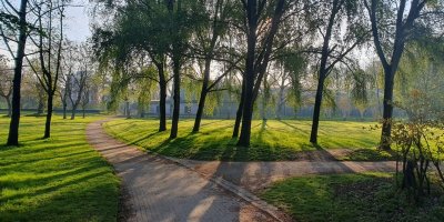 LES GRANDES PRAIRIES