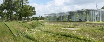 Le Parc du Louvre-Lens
