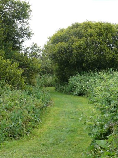 Le marais de la Presle