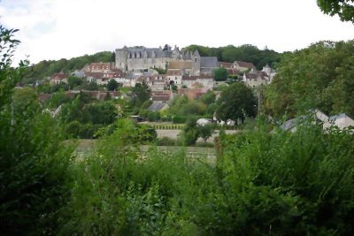 Mon Herbier Châtillonnais : Palluau-sur-Indre, la flore des rives de l’Indre