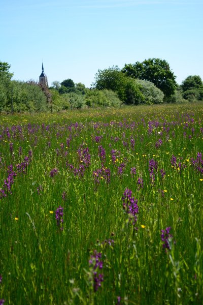Espace naturel sensible des Varinnes