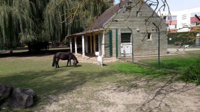 Plaine de jeux et mini ferme