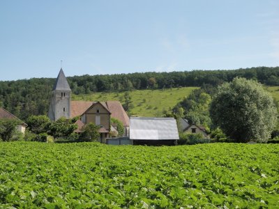 La Côte de Montreuil