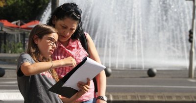 Exposition "Buis" par Guillaume Boisson