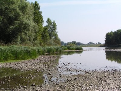 Le Méandre de Guilly